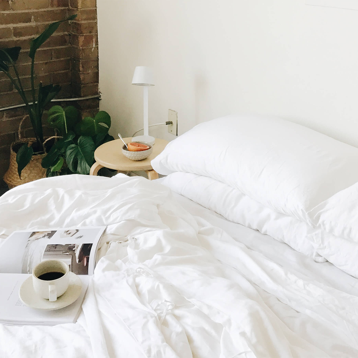 Silk Pillow